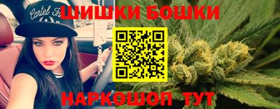 apvp Канаш