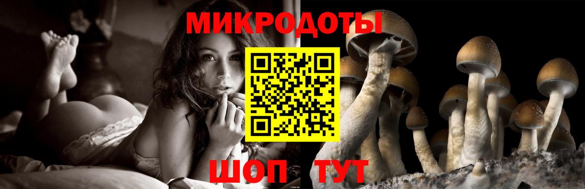 Галлюциногенные грибы Cubensis  где можно купить наркотик  Кулебаки  Вход с VPN 